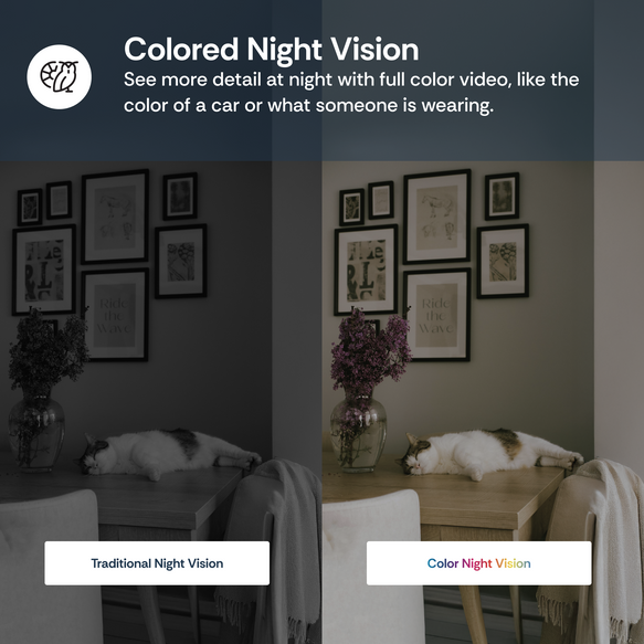Dining room with cats on the floor, featuring text about colored night vision technology.