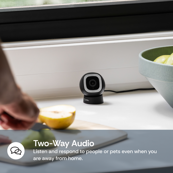Small camera on a kitchen counter with a bowl of fruit and a person cutting an apple.
