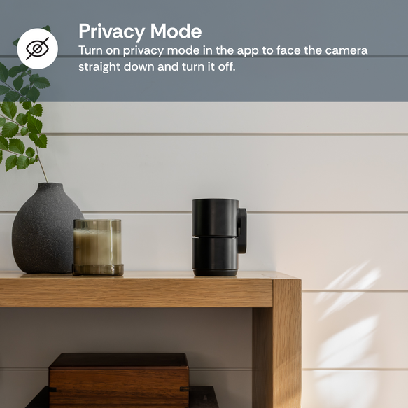 Black camera on a wooden table with decorative items and privacy mode text overlay.
