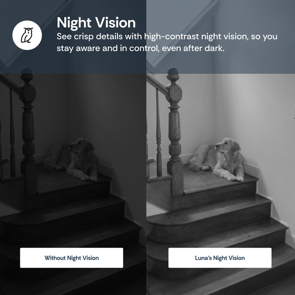 Comparison of a dog on stairs with and without night vision feature.