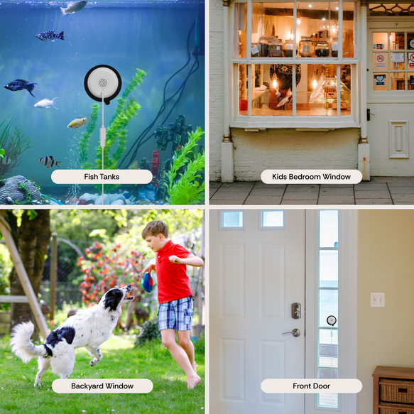 Collage of four images labeled 'Fish Tanks', 'Kids Bedroom Window', 'Backyard Window', and 'Front Door'.